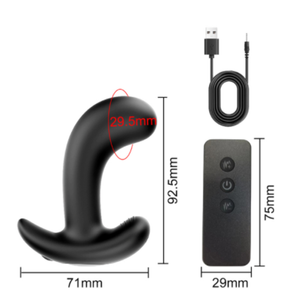 ASSmazing Dual Motor Plug with Remote Control