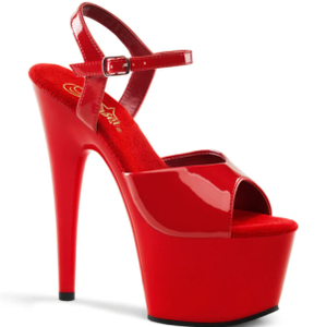 Pleaser Shoes