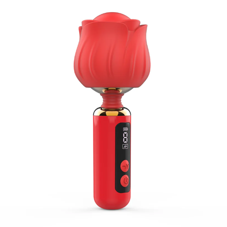 Loviss Rose מסאג'ר וונד רומנטי