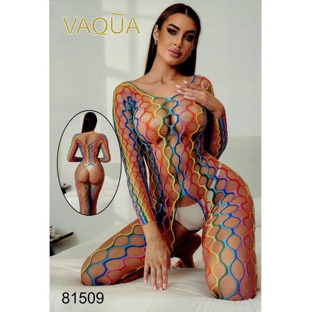 VAQUA Rainbow Mesh Jumpsuit with Intimate Opening