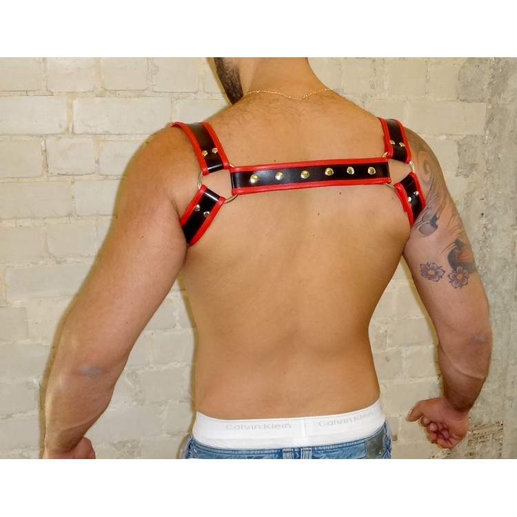 Halter Harness