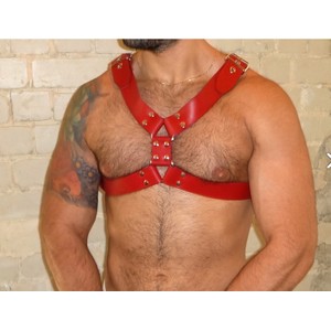 Leather Deviant Harness