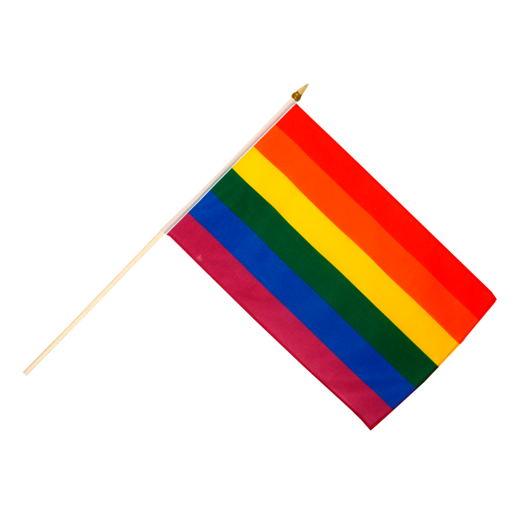 דגל גאווה 30/45 ס"מ