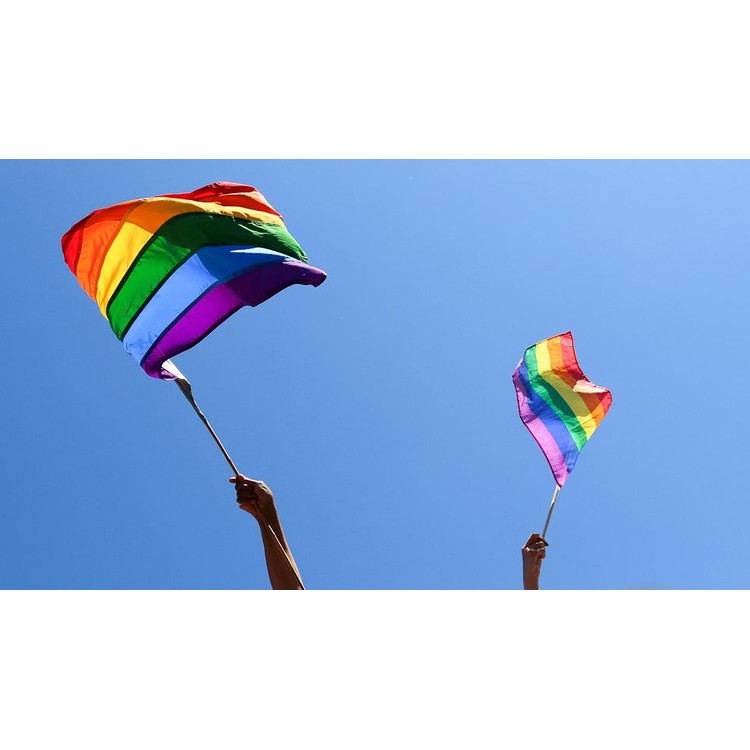 דגל גאווה 30/45 ס"מ