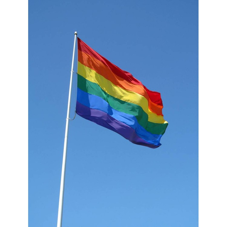 דגל גאווה 100/150 ס"מ