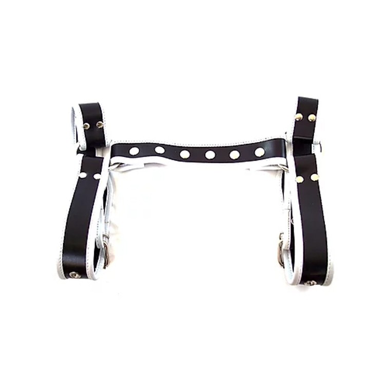 Halter Harness