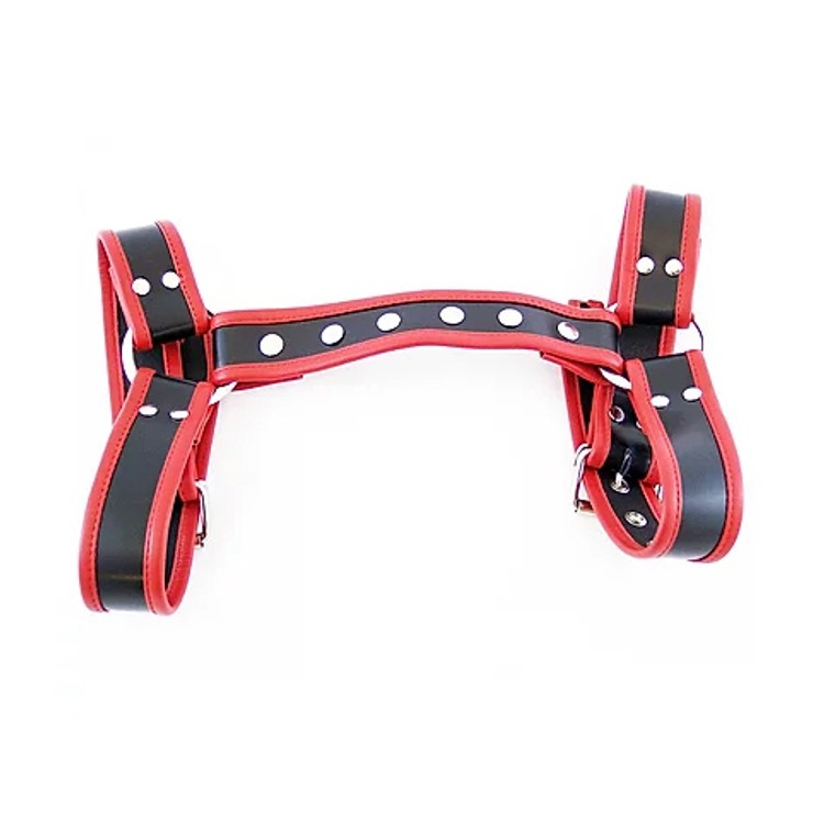 Halter Harness