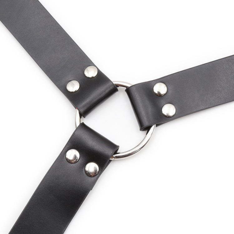 הארנס גלאדיאטור שחור