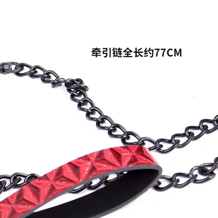 קולר משובץ ורצועה אדום