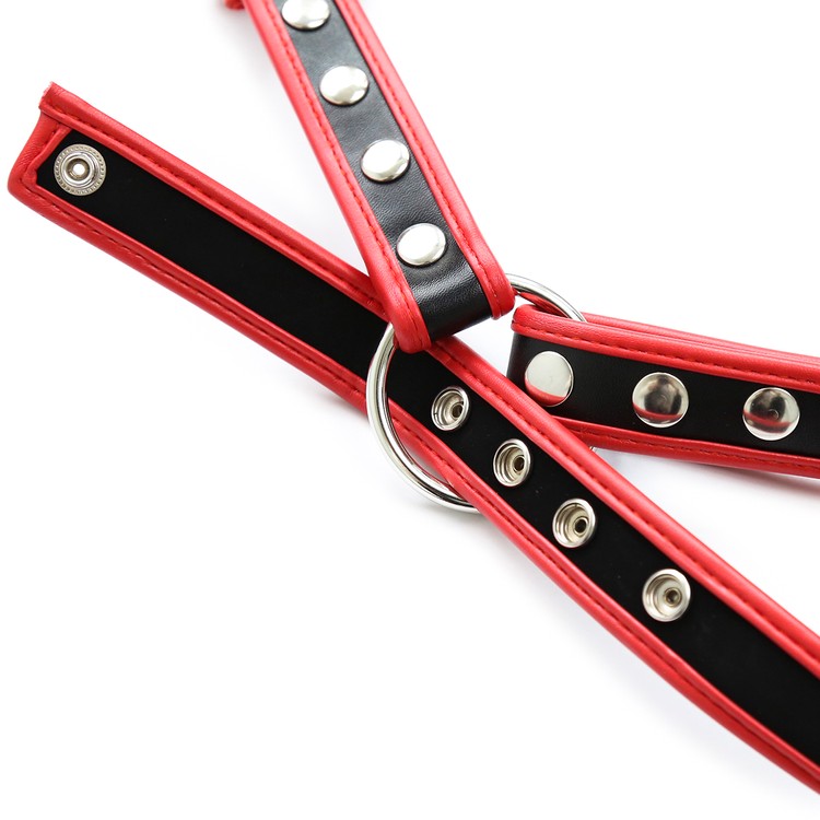 הארנס H גב X אדום/שחור