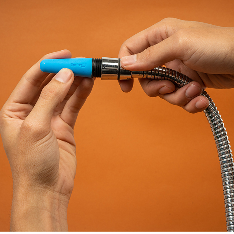 מיני ראש דוש