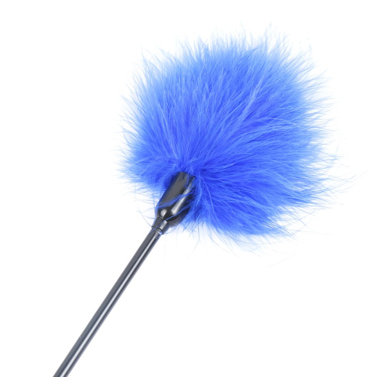 נוצה פלאפי מוט ארוך