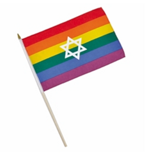 דגל גאווה עם מגן דוד 30/45 ס"מ
