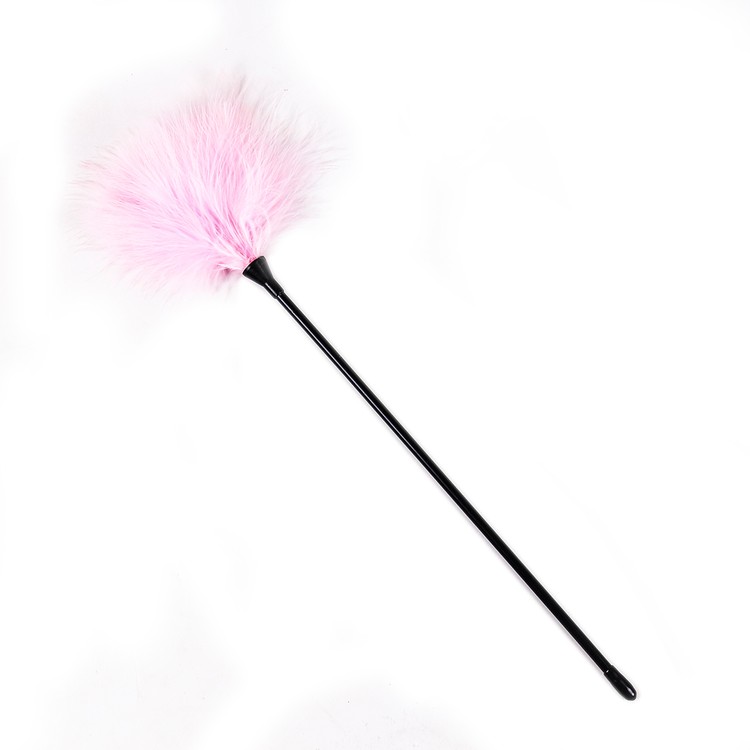 נוצה פלאפי מוט ארוך