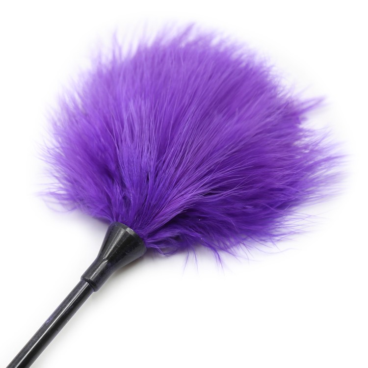 נוצה פלאפי מוט ארוך