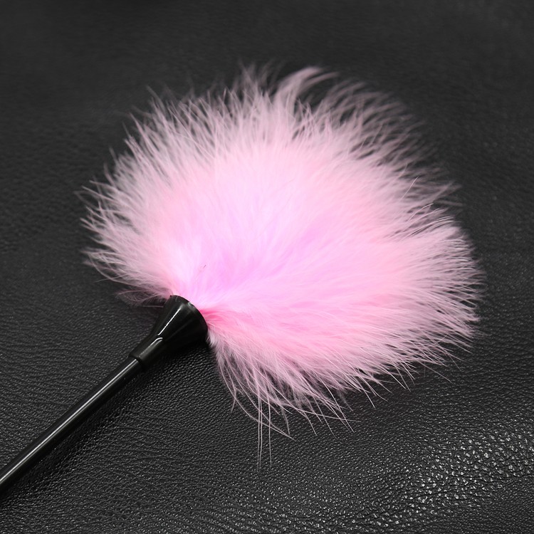 נוצה פלאפי מוט ארוך