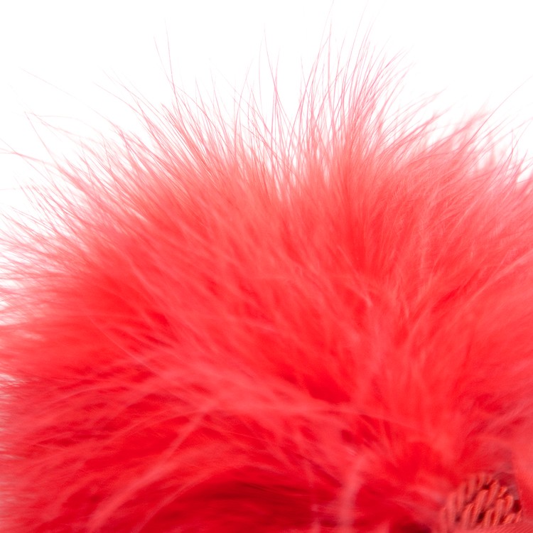 נוצה פלאפי מעוטרת בסרט