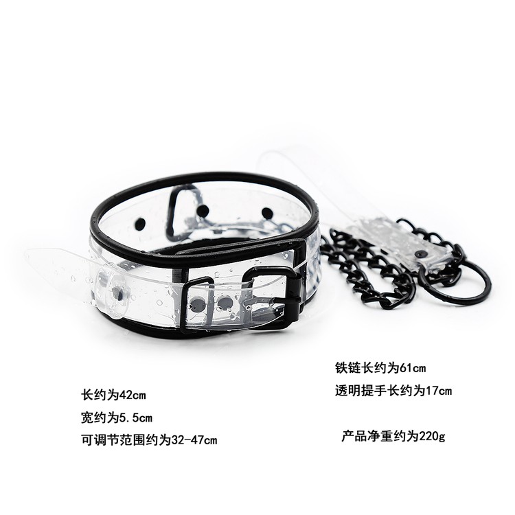 קולר אבזם שקוף עם רצועת מתכת