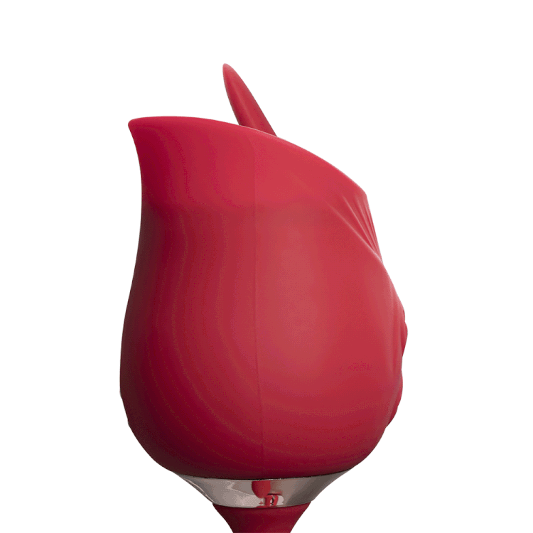 Dual Power Roza ויברטור יניקה+רטט מדמה חדירה