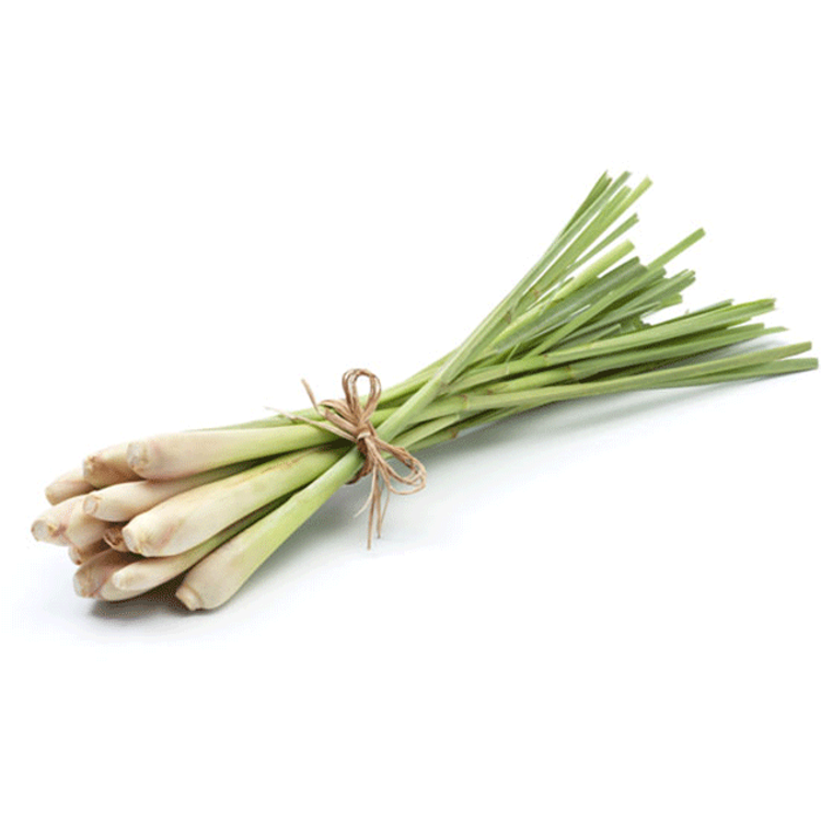 נר עיסוי בניחוח צרור גבעולי למון גראס