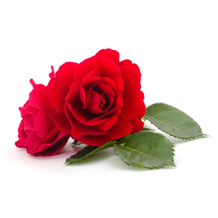 נר עיסוי בניחוח גינת ורדים בכפר