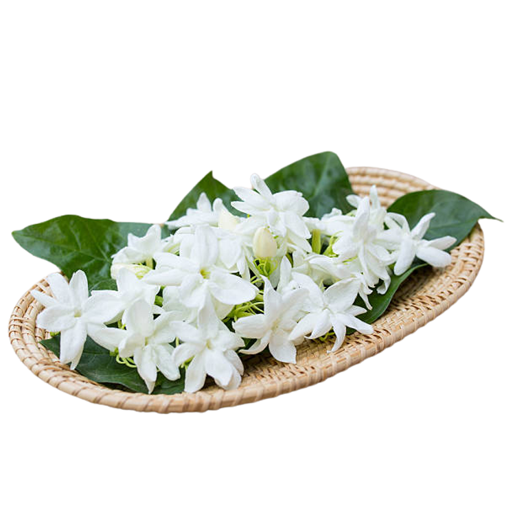 נר עיסוי בניחוח ליבלוב שיח היסמין