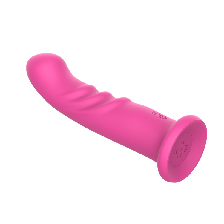 ויברטור נצמד עם בסיס Leandro