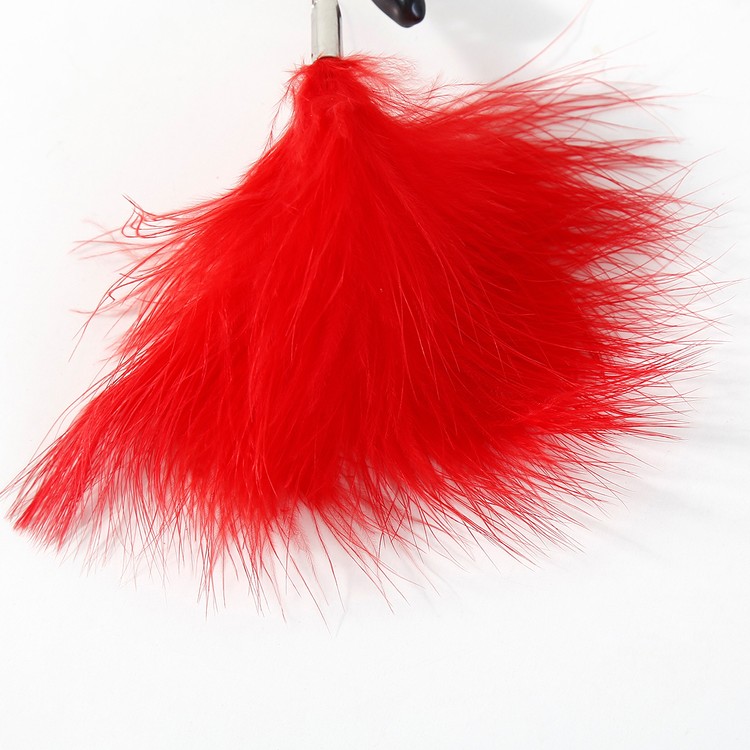 מצבטים מתכווננים עם נוצה