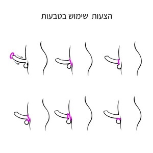 זוג טבעות אלסטיות דקות