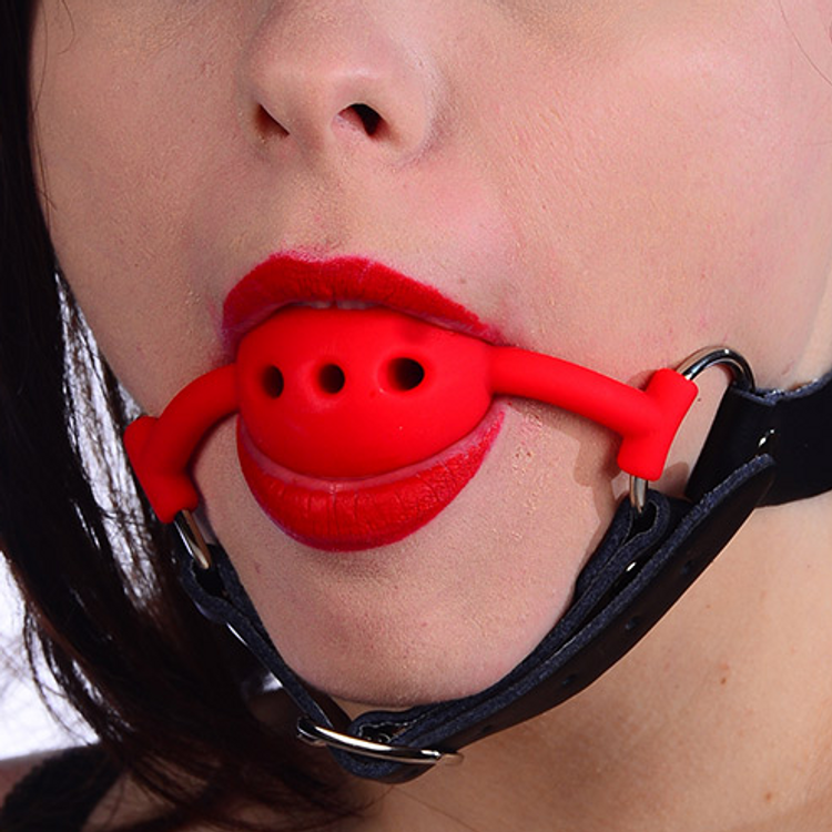 גאג פה וסנטר מעור