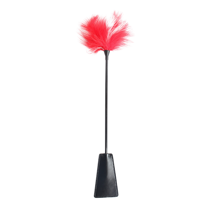 המקל והגזר- נוצה ושוט