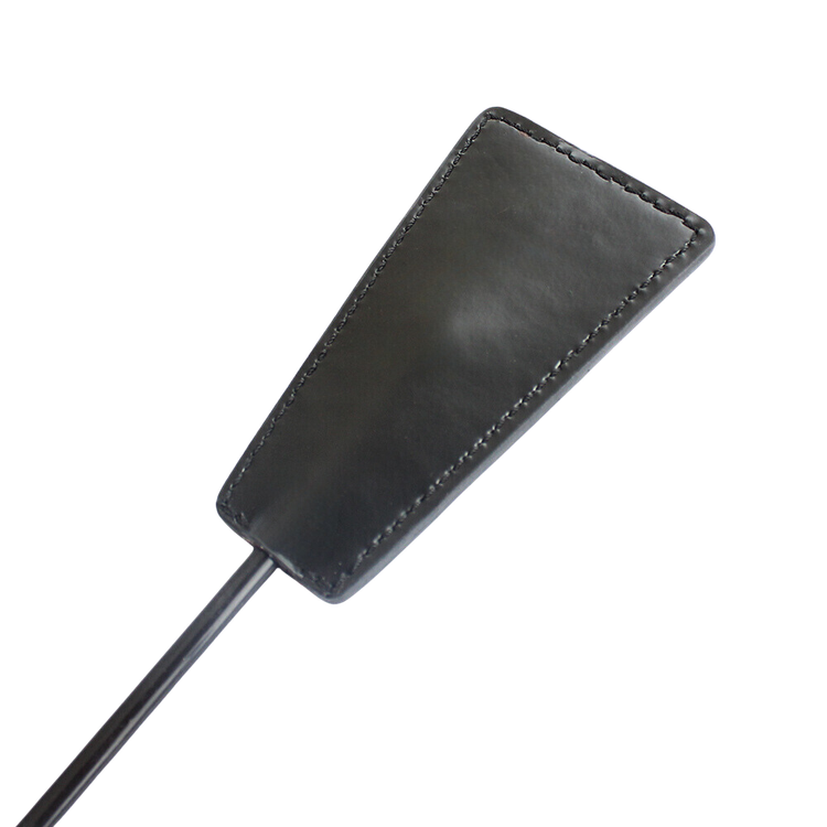 המקל והגזר- נוצה ושוט