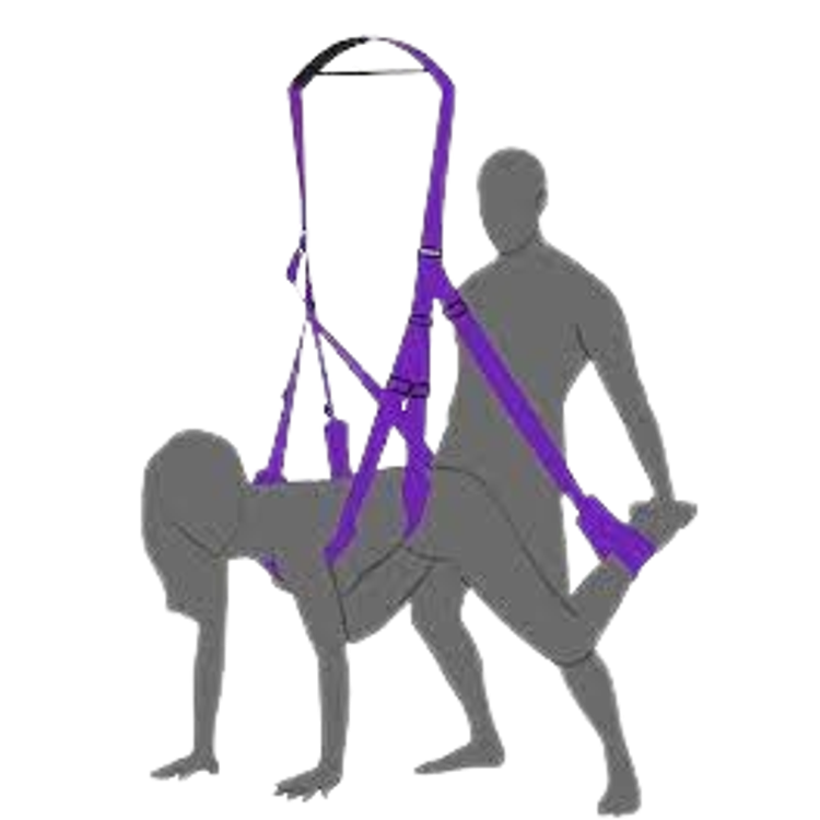 נדנדה ביתית מנומרת לבן