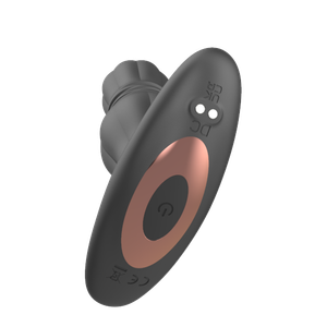 פלאג אנאלי לינארי רוטט עם שלט 'רר בוסטר 1'