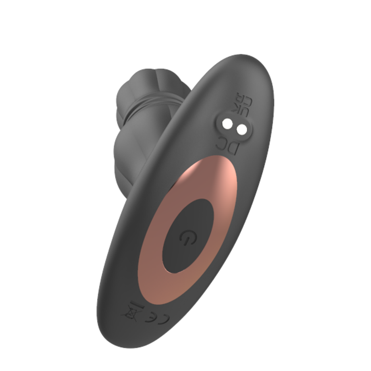 פלאג אנאלי לינארי רוטט עם שלט 'רר בוסטר 1'