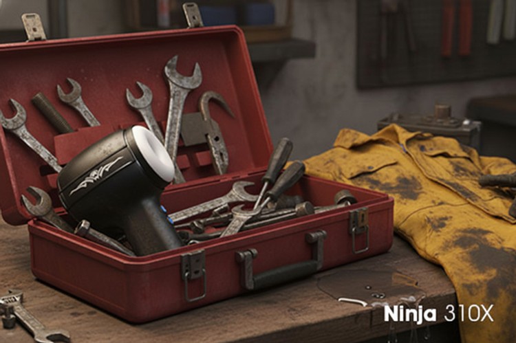 Ninja X310 שהנאה וטכנולוגיה נפגשים